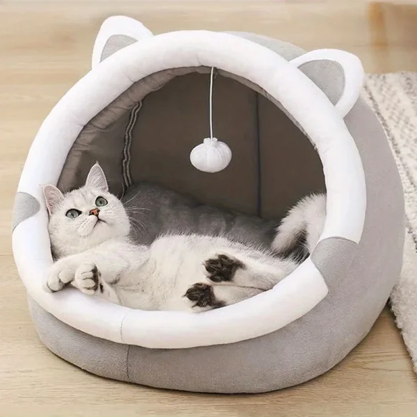Comfortable Bed w/ Removable cushion
