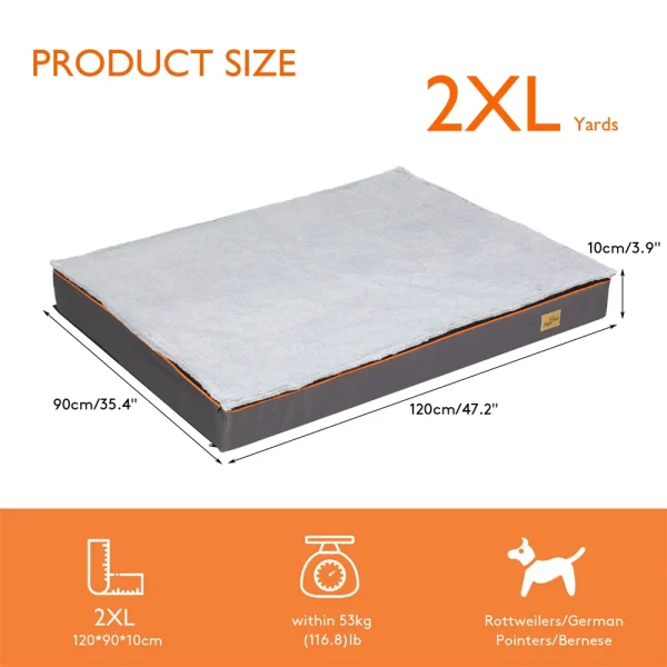 Orthopedic Dog Bed