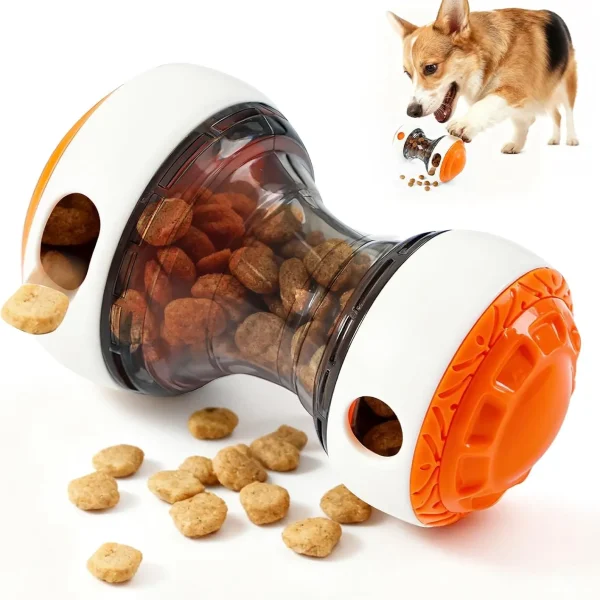 Interactive Training Toy