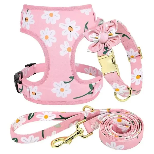 Cute Pet Collars, Harness/Leash Set